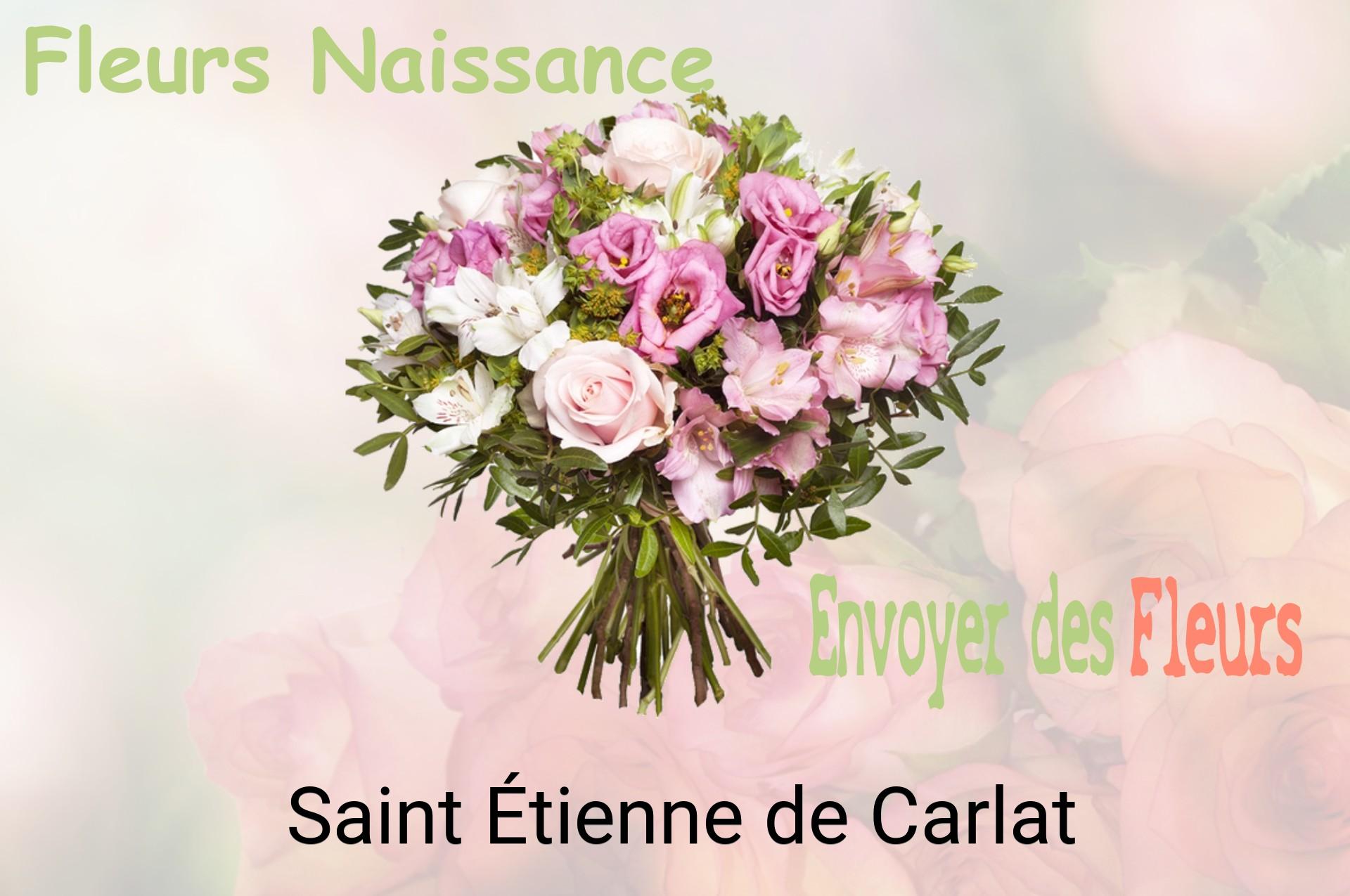 Bouquet de fleurs de naissance livré à Saint-Étienne-de-Carlat
